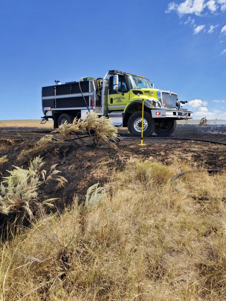 Aftermath of a brush fire